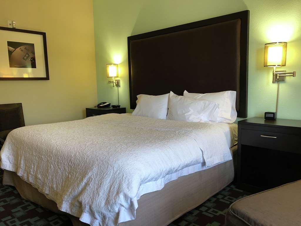 Hampton Inn & Suites Nashville At Opryland Zimmer foto